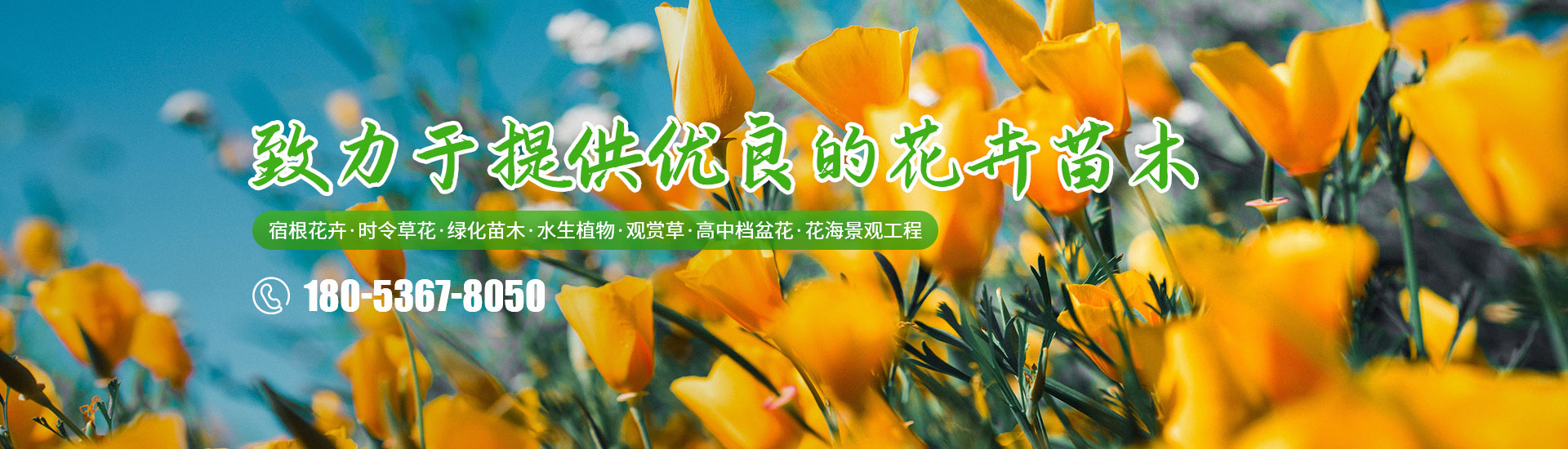 青州冠森花卉园艺有限公司